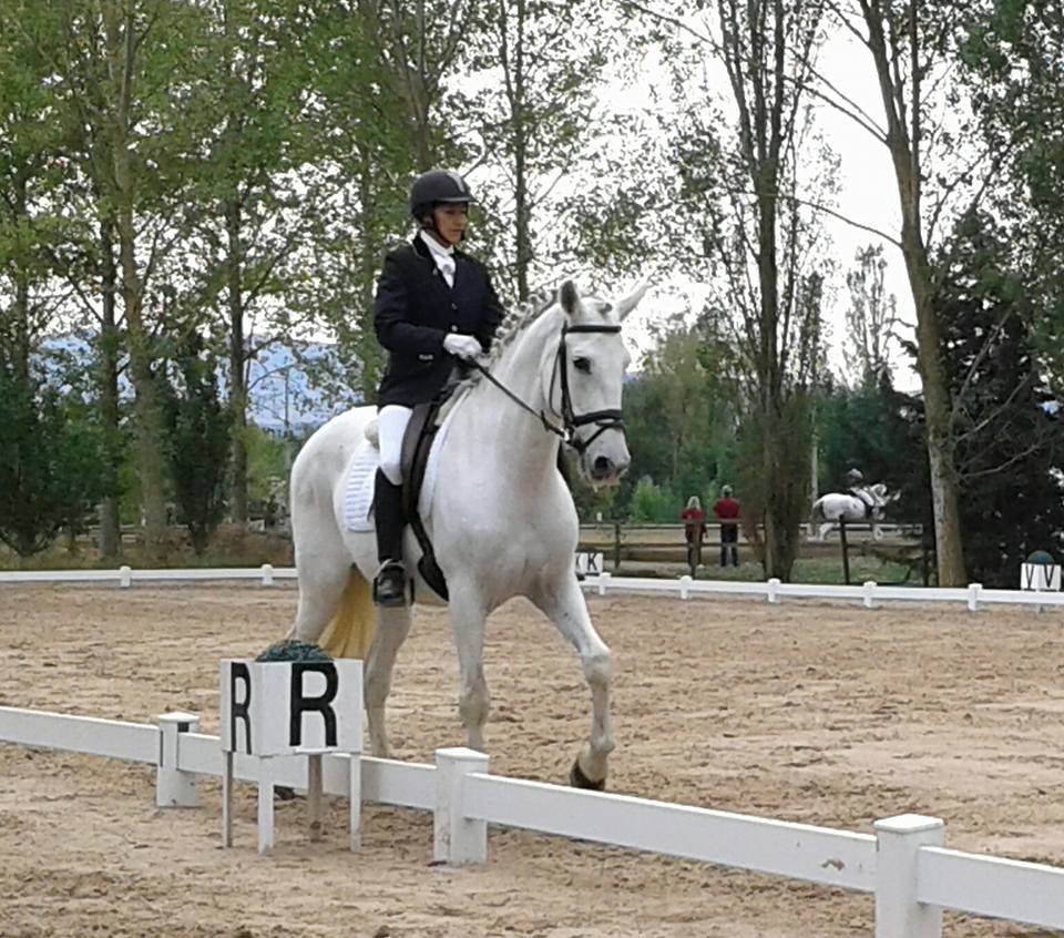 Finales Campeonato Navarro Doma Clásica 2016